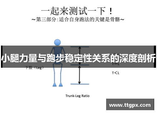 小腿力量与跑步稳定性关系的深度剖析